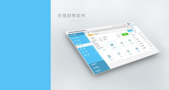 web在線財務(wù)產(chǎn)品